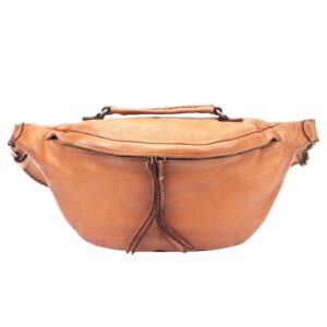 VS camel-1