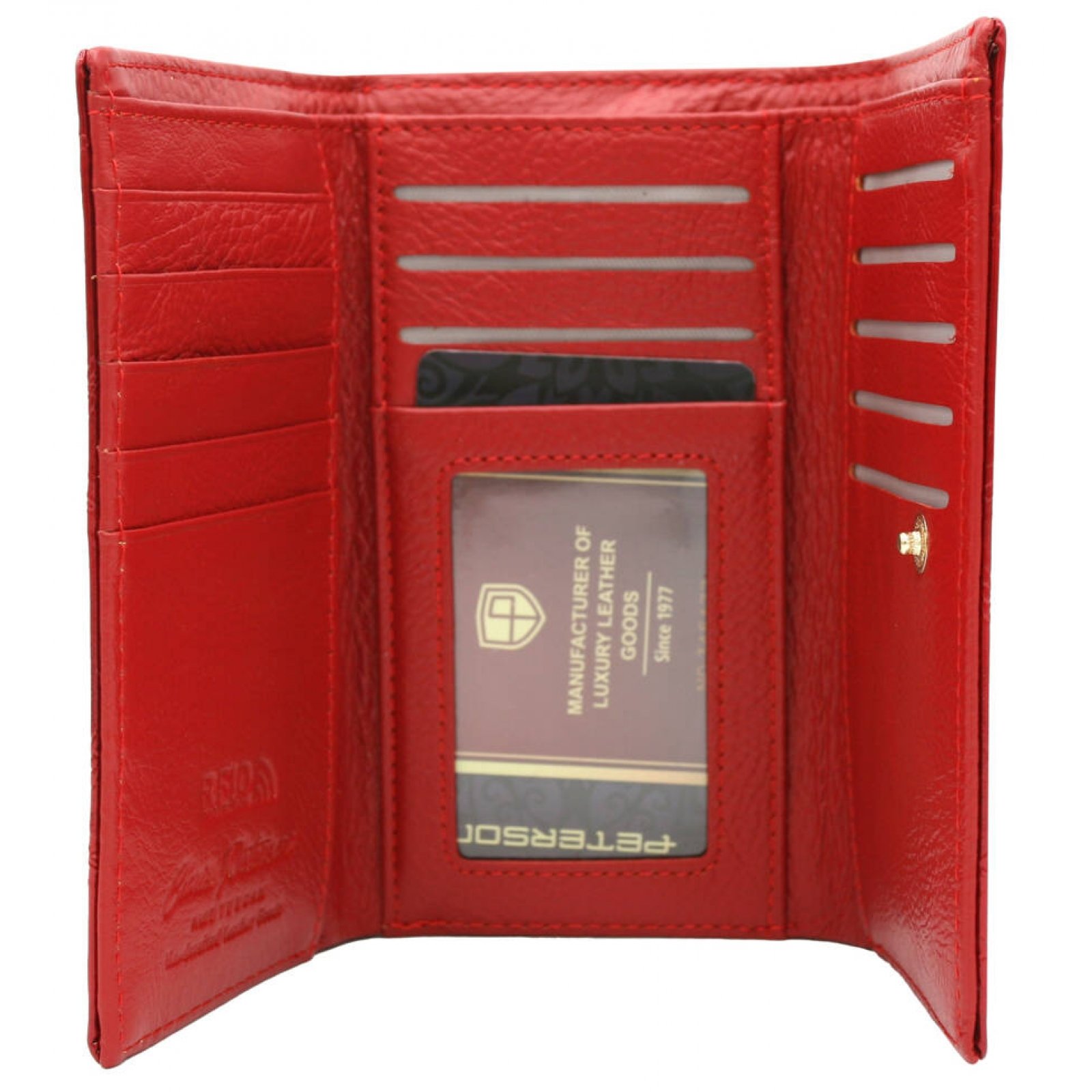 17627_PTN-55020-PLT_49212-2