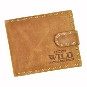 Wild camel-2