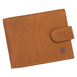 Nordee camel-2