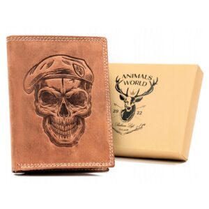 Wild camel-2